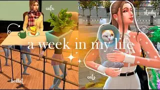 a week in the sims life🍂