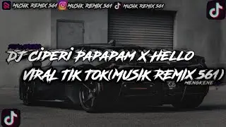 DJ CIPERI PAPAPAM X HOLLO VIRAL TIK TOK (MUSIK REMIX 561)