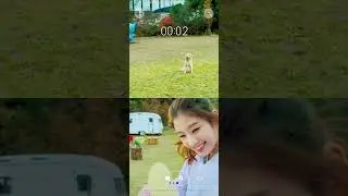 Nova 9 camera options