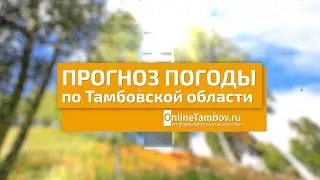 Прогноз погоды в Тамбове и Тамбовской области на 15 июня 2024 года