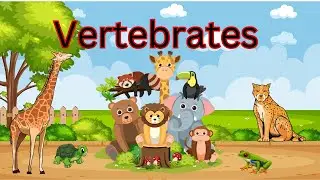 Vertebrates for kids #animals #vertebrates