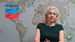 ESG-новости #8: Инвестиции в устойчивые проекты, новые разработки для плавучих ветроэлектростанций