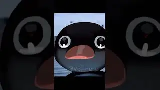 Noot noot meme