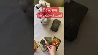 ВАЖНАЯ ИНФОРМАЦИЯ 💯. Расклад таро