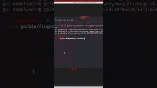 How to install fingerprintx in kali Linux#shorts