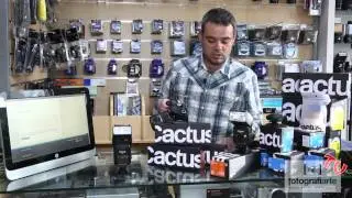 Flash Cactus
