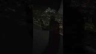 Ужасы нашего городка! 