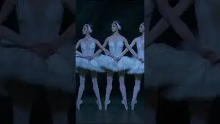 Swan Lake 2018 - Dance of the Cygnets #shorts #RoyalOperaHouse