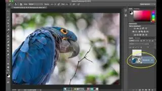 Photoshop Layers Explained