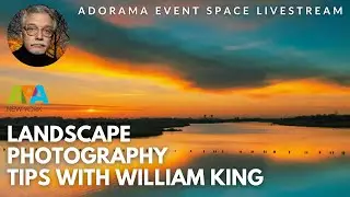 "The Living Marsh: Landscape Photography in Wild Urban Parks" with William King and APA New York