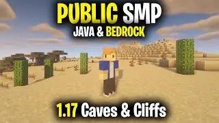 Public Minecraft SMP Server for Java & Bedrock *LIVE* 1.17.1 (Free to Join)
