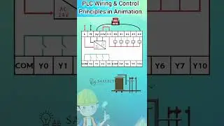 PLC input/output wiring.|PLC wiring diagram in Animation. #shorts