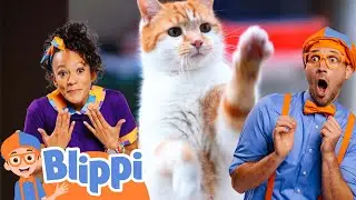 Meekah's Pet Song! | Educational Videos for Kids | Blippi and Meekah Kids TV