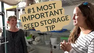 Saving Seeds from your Garden + Storing Seeds for Next Year