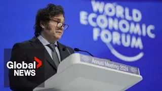 WEF Summit: Argentinas Milei praises free markets, slams socialism at Davos