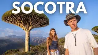 The Most Alien place on Earth - Socotra island, Yemen 🇾🇪