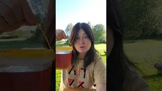 ОЖИДАНИЯ И РЕАЛЬНОСТЬ: путь мёда от улья до стола. 