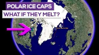 The Shocking Effects Of Melting Polar Ice Caps: 10 Consequences You Need To Know