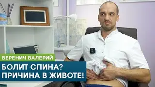 Болит спина? Причина в животе. Вегетативная боль. Кинезиолог Веренич Валерий