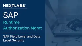 SAP Dynamic Authorization Management - Field Level and Data Level Security