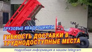 Особенности грузовых квадроциклов  мощность и надежность 