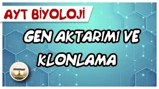 AYT Biyoloji | Gen Aktarımı ve Klonlama #sayfa146