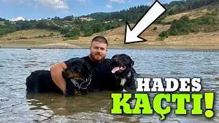 HADES MARLA VE GECE İLE GÖLE GİTTİK BOĞULUYORDUM!
