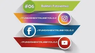Bakteri Fotosentezi (Kısa Kısa #6)