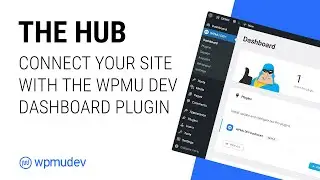 How to Connect Your Website to The Hub [WPMU DEV Dashboard Plugin Installation]