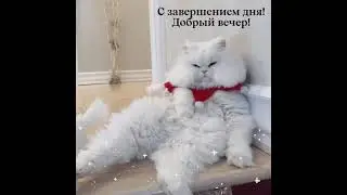 С завершением дня. Добрый вечер!