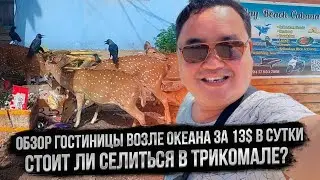 Доехать за 1$ из Дамбулы в Трикомале. Шри-Ланка удивляет!