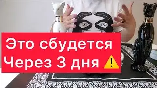 💣ТО, ЧТО Я ВАМ СЕЙЧАС СКАЖУ 🔮СБУДЕТСЯ ЧЕРЕЗ 3 ДНЯ‼️