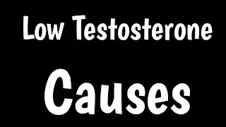 Causes Of Low Testosterone | Male Hypoparathyroidism | Signs, Symptoms | Testosterone Deficiency |