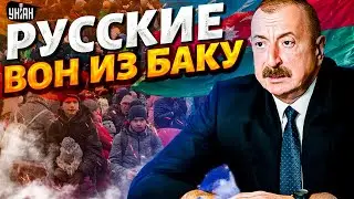 Валите в Россию! Русских погнали из Баку. Страшное ВОЗМЕЗДИЕ Азербайджана. Лавочку закрыли