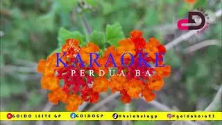 KARAOKE - PERDUA BA || #kantornaranlahatene