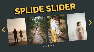 How to Use Splide Slider For Your Website | Splide Slider Tutorial