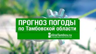 Прогноз погоды в Тамбове и Тамбовской области на 3 июня 2023 года