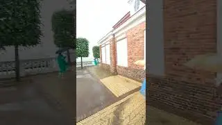 Типичный Питер