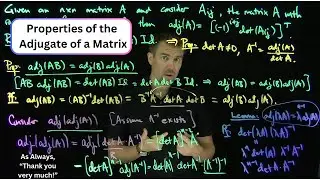 Properties of the Adjugate Matrix: Determinants and Products