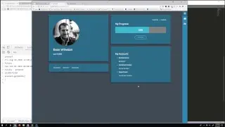 Codify Academy  |  Evan's Webinar, Weeks 11-13  |  8/10/18