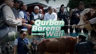 QURBAN BARENG WALI 2023