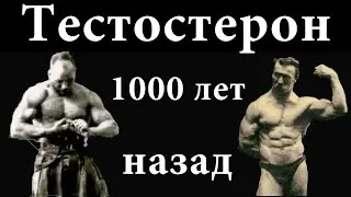 Тестостерон 100 лет назад. Почему упал главный мужской гормон?