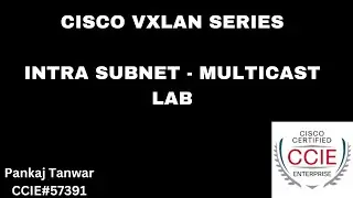 CISCO VXLAN  BUM Traffic handling using Multicast - LAB  CCIE 57391