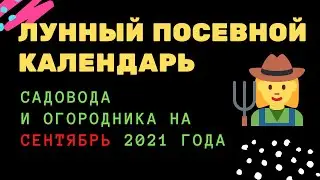 Лунный посевной календарь садовода и огородника на сентябрь 2021 года