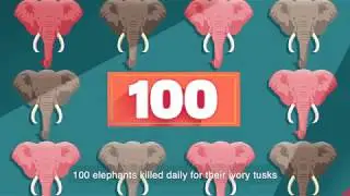 Fighting illegal wildlife trade - Standard Chartered