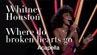 Whitney Houston’s ‘Where Do Broken Hearts Go’ | Live at AMA 1988 | Acapella Version by Voceux