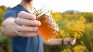 How to Make Goldenrod Jelly