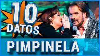 10 Curiosidades sobre PIMPINELA 😱