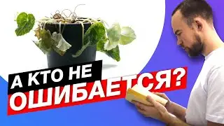 №49 Типичные ошибки новичков версия 2.0 | Итоги конкурса на 3000 рублей от DzagiGrow