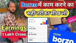 Borzo Delivery Job Earnings $ 1Lakh Above, 4 Year Experience in Borzo Delivery